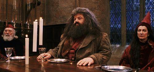 娱乐吃瓜酱霍格沃茨,娱乐吃瓜酱的魔法校园风云录