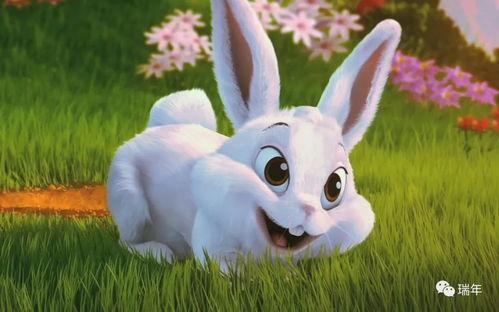 娱乐吃瓜小兔子视频大全,趣味吃瓜小兔子视频大盘点 第2张 娱乐吃瓜小兔子视频大全,趣味吃瓜小兔子视频大盘点 第2张