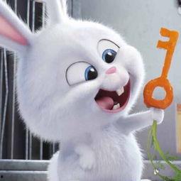 娱乐吃瓜小兔子视频大全,趣味吃瓜小兔子视频大盘点 第3张 娱乐吃瓜小兔子视频大全,趣味吃瓜小兔子视频大盘点 第3张