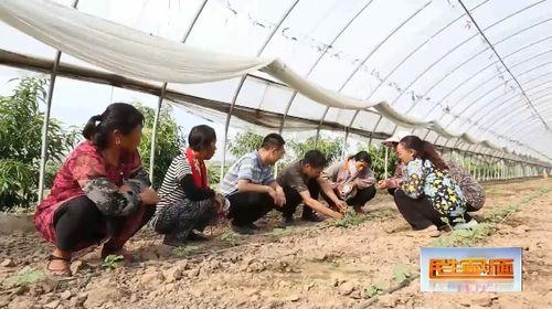 娱乐吃瓜视频封面怎么做,创意与技巧解析  第2张