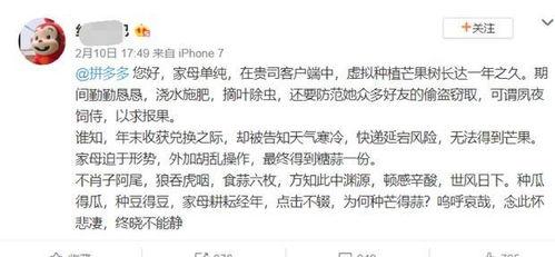 写吃瓜娱乐文怎么取笔名,娱乐文创作新篇章  第2张