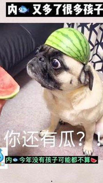 娱乐圈子吃瓜群众是谁,吃瓜群众的视角探秘  第3张