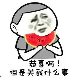 娱乐圈吃瓜群众心态变好,从好奇围观到理性思考  第3张