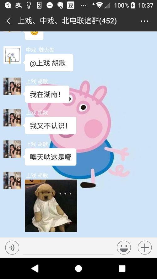 吃瓜微信群娱乐圈,吃瓜群里的幕后故事大揭秘  第2张
