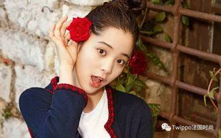 娱乐圈吃瓜资深少女文,揭秘明星背后的故事与真相  第1张