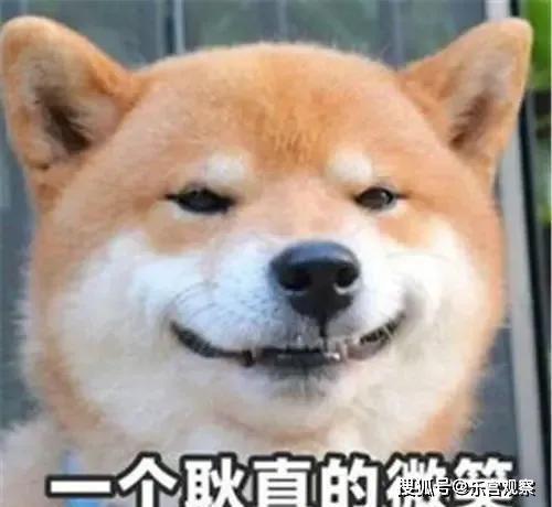 娱乐圈吃瓜的猹,揭秘“吃瓜猹”背后的八卦真相  第2张