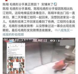 娱乐圈吃瓜李小璐微博,李小璐微博揭秘，真相与争议并存  第1张
