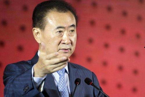 娱乐圈吃瓜王健林是谁,揭秘王健林的传奇人生