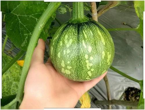 48dy8w娱乐吃瓜,热点追踪，趣味解读  第1张