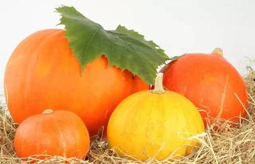 48dy8w娱乐吃瓜,热点追踪，趣味解读  第3张