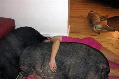 娱乐吃瓜酱女生统一逻辑,友情、瓜田与自我发现的故事 第3张 娱乐吃瓜酱女生统一逻辑,友情、瓜田与自我发现的故事 第3张