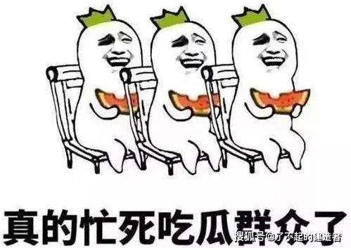 娱乐吃瓜酱防止智力退化,趣味生活与智力保持的巧妙结合”  第2张