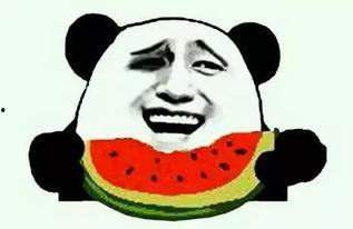 娱乐吃瓜酱防止智力退化,趣味生活与智力保持的巧妙结合”  第3张