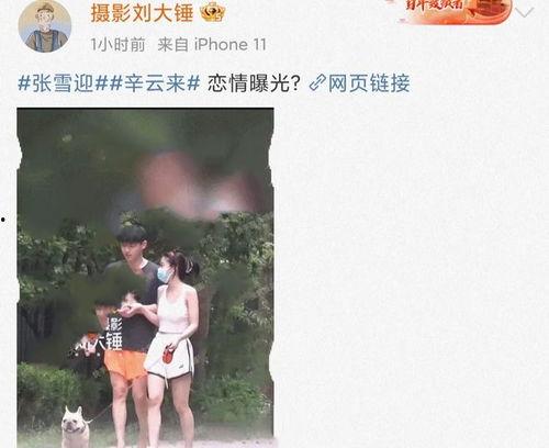 娱乐圈吃瓜劲爆视频,吃瓜群众直呼过瘾！