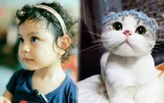 娱乐吃瓜喵不务正业版,揭秘内娱老板们的“不务正业”现象  第2张