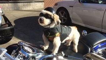 吃瓜娱乐图片文案搞笑版,吃瓜娱乐图片文案搞笑大盘点  第1张