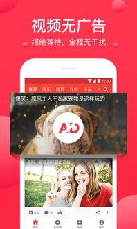 娱乐吃瓜小灵通小说下载,揭秘小说世界里的幕后故事  第2张