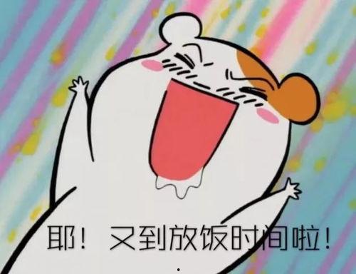 娱乐吃瓜酱英语怎么写的,网络热词的跨文化解读  第1张