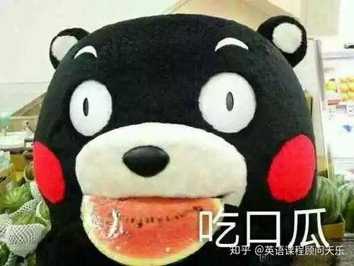 娱乐吃瓜酱英语怎么写的,网络热词的跨文化解读  第3张