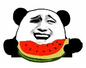 娱乐吃瓜酱生日文案搞笑,搞笑文案大放送  第3张