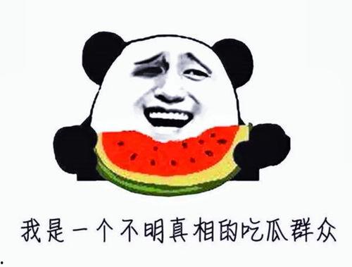 娱乐吃瓜酱爱藏在废话里,藏在废话中的情感与趣味  第1张