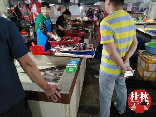 娱乐吃瓜酱爱藏在废话里,藏在废话中的情感与趣味  第2张