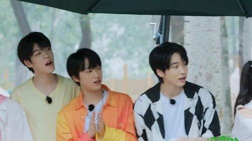 娱乐八卦吃瓜王小说,娱乐八卦小说中的欢乐与逆袭  第2张