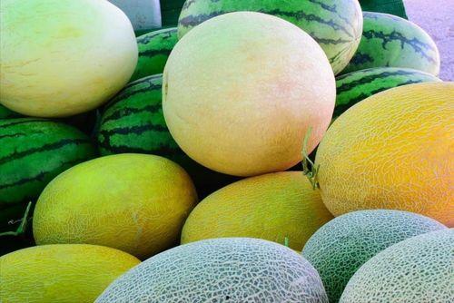 娱乐圈哪个地方吃瓜最好,探寻最佳“吃瓜”圣地 第3张 娱乐圈哪个地方吃瓜最好,探寻最佳“吃瓜”圣地 第3张