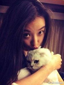 娱乐吃瓜酱虐猫小说,娱乐吃瓜酱的黑暗面揭露  第1张