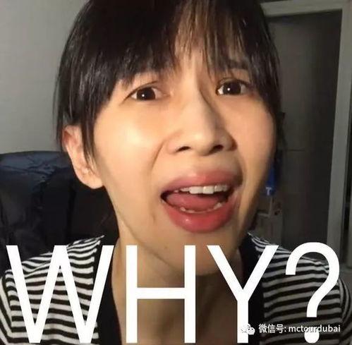 娱乐吃瓜酱笑声在线听,笑破天际！娱乐吃瓜酱笑声在线盛宴  第3张