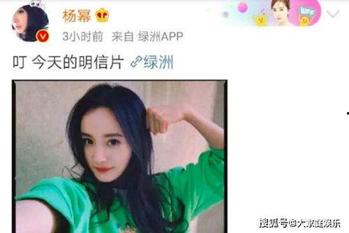 杨幂娱乐圈吃瓜事件,揭秘明星背后的真相  第3张