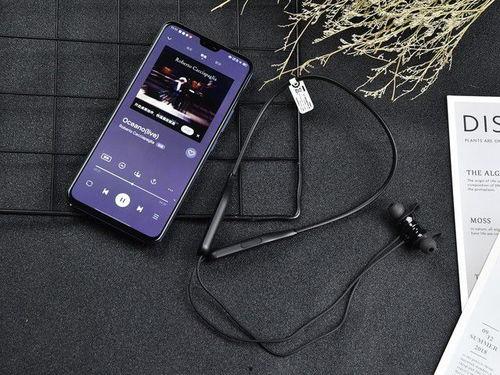 吃瓜娱乐社的背景音乐,揭秘吃瓜娱乐社背景音乐背后的故事 第3张 吃瓜娱乐社的背景音乐,揭秘吃瓜娱乐社背景音乐背后的故事 第3张