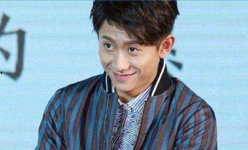 娱乐吃瓜丫张一山,揭秘娱乐圈背后的故事  第3张