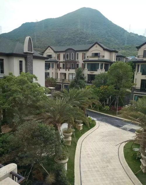 718娱乐吃瓜最新地址,独家爆料等你来探  第3张