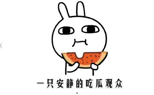 娱乐圈吃瓜的正确方法,轻松解锁明星八卦的正确姿势  第1张