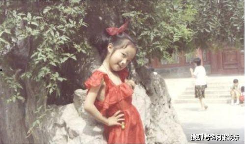 吃瓜娱乐圈贵妃是谁,揭秘娱乐圈神秘新贵  第1张