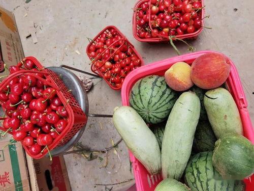 吃瓜娱乐圈怎么做,如何成为吃瓜群众中的高手 第3张 吃瓜娱乐圈怎么做,如何成为吃瓜群众中的高手 第3张