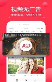 娱乐吃瓜芋泥视频下载,芋泥吃瓜达人教你轻松下载娱乐视频 第1张 娱乐吃瓜芋泥视频下载,芋泥吃瓜达人教你轻松下载娱乐视频 第1张