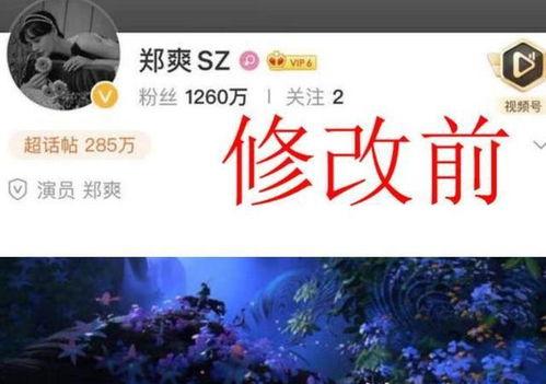 娱乐吃瓜背景图图文素材,揭秘明星幕后故事,吃瓜群众狂欢时刻 第3张 娱乐吃瓜背景图图文素材,揭秘明星幕后故事,吃瓜群众狂欢时刻 第3张