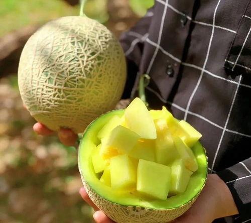 有什么瓜吃吗娱乐圈,揭秘热门八卦,畅享娱乐盛宴 第2张 有什么瓜吃吗娱乐圈,揭秘热门八卦,畅享娱乐盛宴 第2张