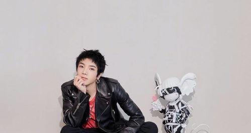 爱豆吃瓜娱乐酱华晨宇,爱豆吃瓜娱乐酱，揭秘明星背后的故事  第3张