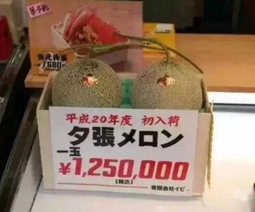 娱乐是个圈吃瓜群众散,吃瓜群众散生记 第2张 娱乐是个圈吃瓜群众散,吃瓜群众散生记 第2张