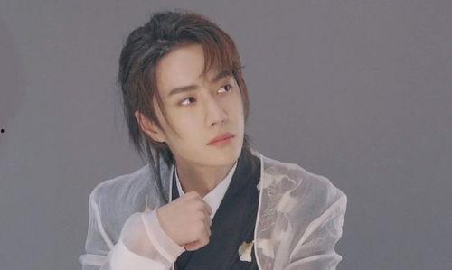 吃瓜鹅娱乐速报肖战,吃瓜鹅娱乐速报，揭秘明星背后的故事  第2张