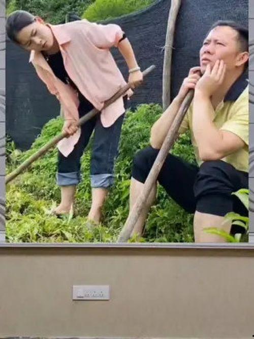 娱乐八卦吃瓜群众的,揭秘吃瓜群众的八卦盛宴 第1张 娱乐八卦吃瓜群众的,揭秘吃瓜群众的八卦盛宴 第1张