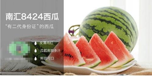 晋江娱乐圈吃瓜文推荐,揭秘明星背后的那些事 第2张 晋江娱乐圈吃瓜文推荐,揭秘明星背后的那些事 第2张