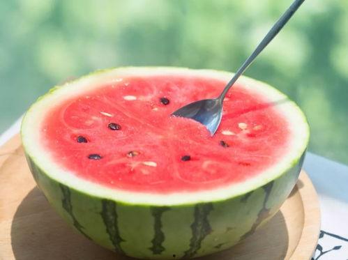 晋江娱乐圈吃瓜文推荐,揭秘明星背后的那些事 第3张 晋江娱乐圈吃瓜文推荐,揭秘明星背后的那些事 第3张