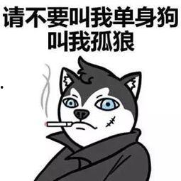 娱乐吃瓜君脱单冷知识,那些你不知道的脱单冷知识 第2张 娱乐吃瓜君脱单冷知识,那些你不知道的脱单冷知识 第2张