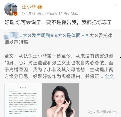娱乐吃瓜 汪小菲是谁呀,汪小菲的星光之路与吃瓜热议 第3张 娱乐吃瓜 汪小菲是谁呀,汪小菲的星光之路与吃瓜热议 第3张