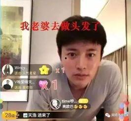 娱乐圈吃瓜电视剧,揭秘明星幕后真相与甜蜜爱情  第3张