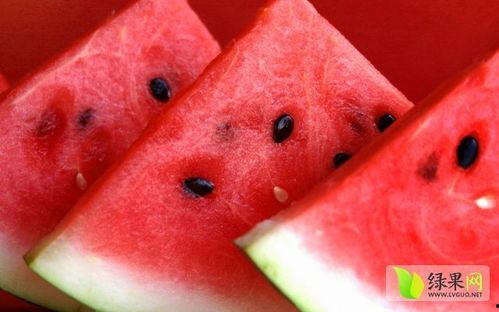 娱乐吃瓜菌的视频怎么拍,视频拍摄幕后技巧大公开 第1张 娱乐吃瓜菌的视频怎么拍,视频拍摄幕后技巧大公开 第1张